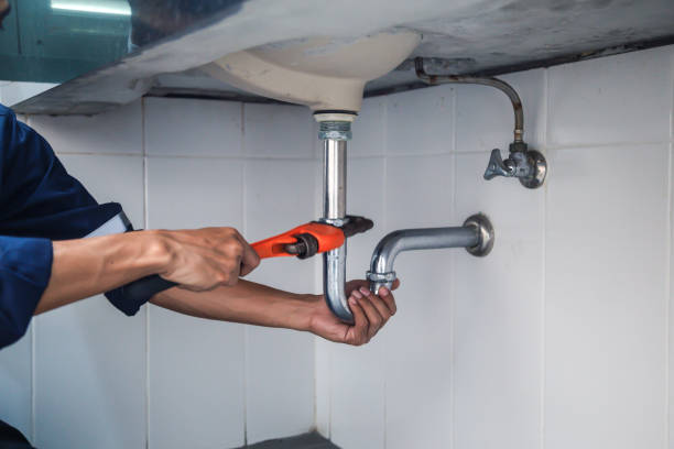 Best Plumbing Inspection Services  in Progress, PA